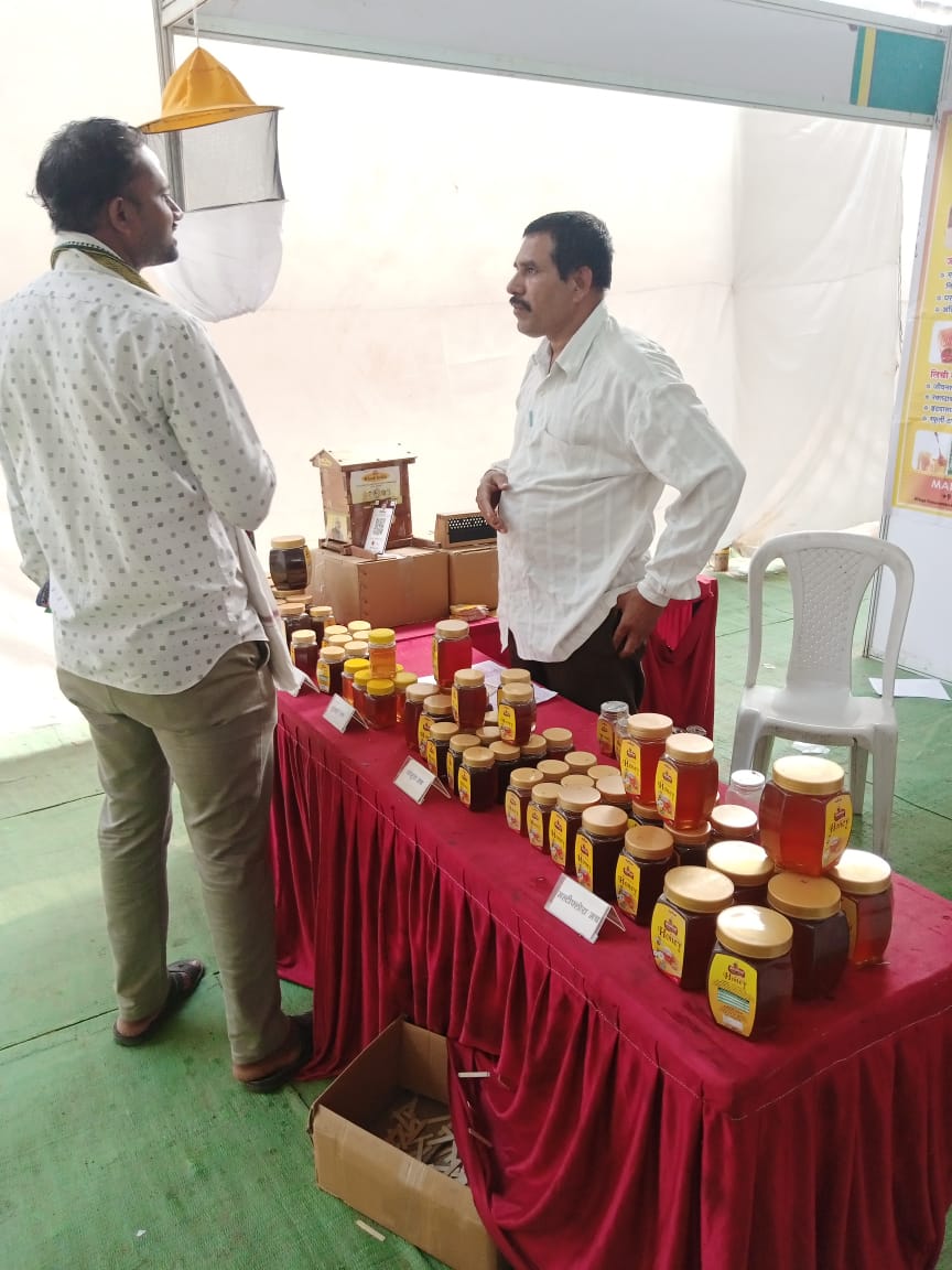 Beekeeping Training